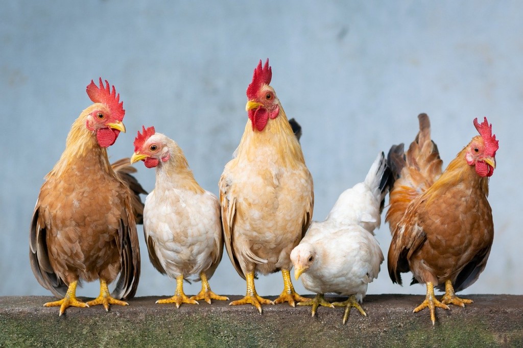 Farmer’s Urged to Look into R&D Tax Credit